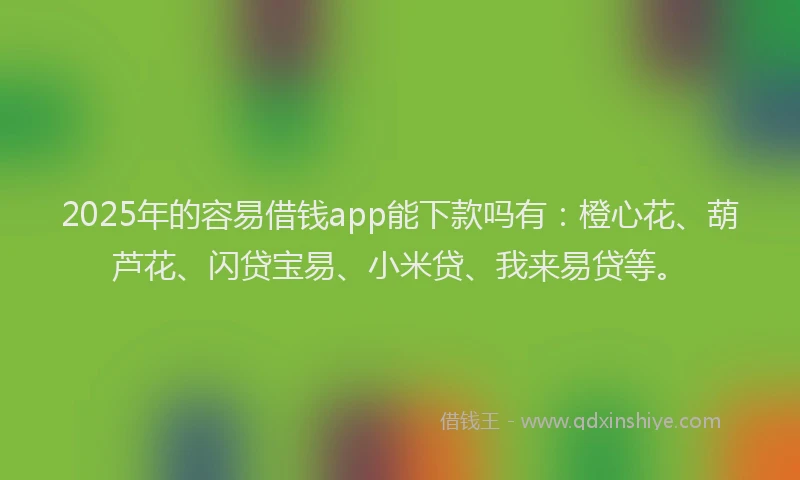 2025年的容易借钱app能下款吗有：橙心花、葫芦花、闪贷宝易、小米贷、我来易贷等。