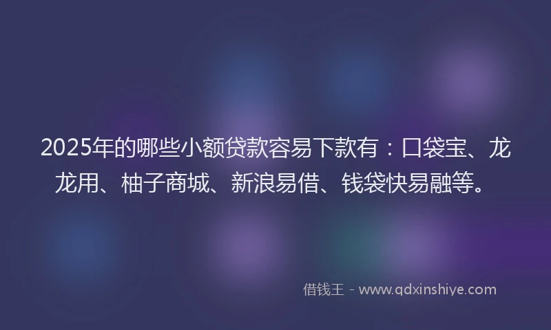 2025年的哪些小额贷款容易下款有：口袋宝、龙龙用、柚子商城、新浪易借、钱袋快易融等。