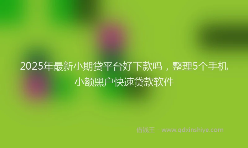 2025年最新小期贷平台好下款吗，整理5个手机小额黑户快速贷款软件