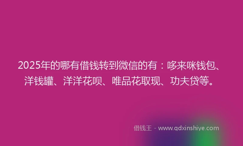 2025年的哪有借钱转到微信的有：哆来咪钱包、洋钱罐、洋洋花呗、唯品花取现、功夫贷等。
