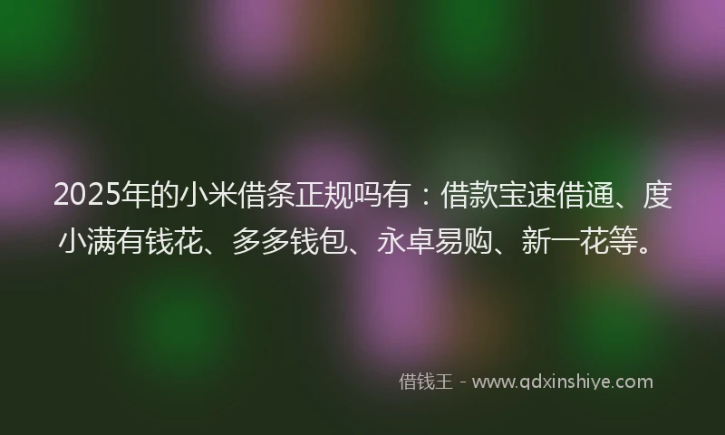 2025年的小米借条正规吗有：借款宝速借通、度小满有钱花、多多钱包、永卓易购、新一花等。