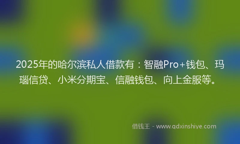 2025年的哈尔滨私人借款有：智融Pro+钱包、玛瑙信贷、小米分期宝、信融钱包、向上金服等。