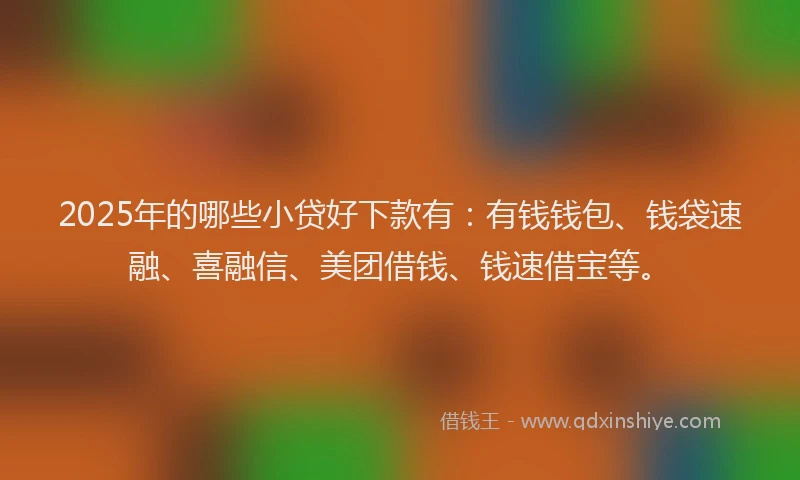 2025年的哪些小贷好下款有：有钱钱包、钱袋速融、喜融信、美团借钱、钱速借宝等。