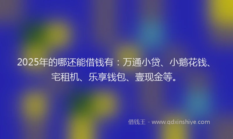 2025年的哪还能借钱有：万通小贷、小鹅花钱、宅租机、乐享钱包、壹现金等。