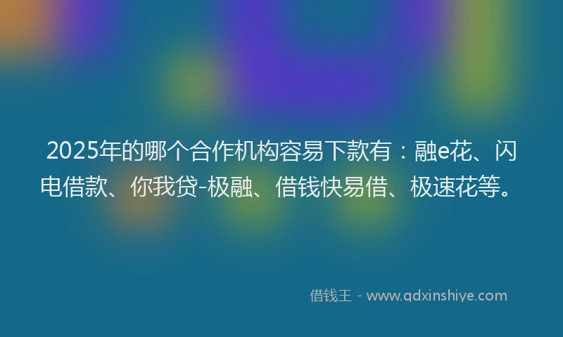 2025年的哪个合作机构容易下款有：融e花、闪电借款、你我贷-极融、借钱快易借、极速花等。