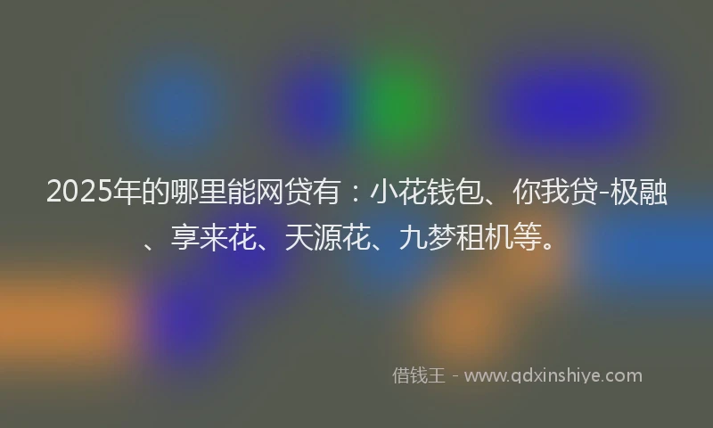 2025年的哪里能网贷有：小花钱包、你我贷-极融、享来花、天源花、九梦租机等。