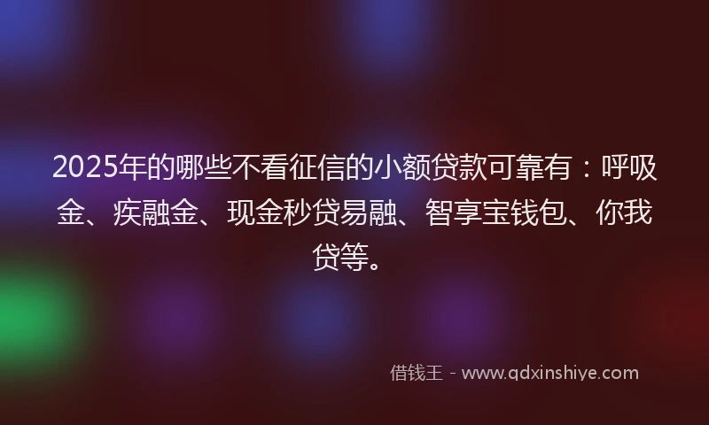 2025年的哪些不看征信的小额贷款可靠有：呼吸金、疾融金、现金秒贷易融、智享宝钱包、你我贷等。