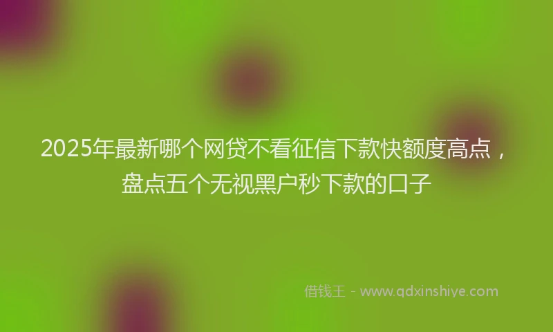 2025年最新哪个网贷不看征信下款快额度高点，盘点五个无视黑户秒下款的口子