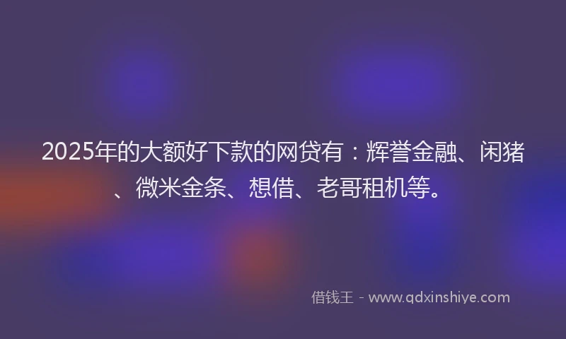 2025年的大额好下款的网贷有：辉誉金融、闲猪、微米金条、想借、老哥租机等。