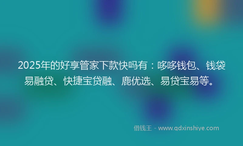 2025年的好享管家下款快吗有：哆哆钱包、钱袋易融贷、快捷宝贷融、鹿优选、易贷宝易等。