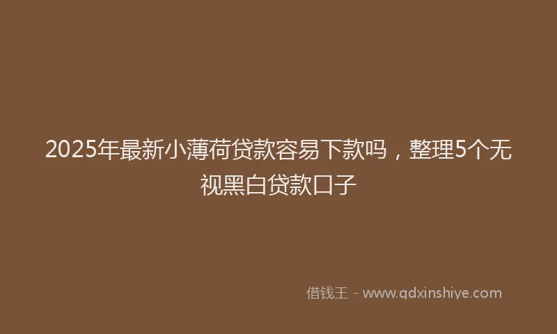 2025年最新小薄荷贷款容易下款吗，整理5个无视黑白贷款口子