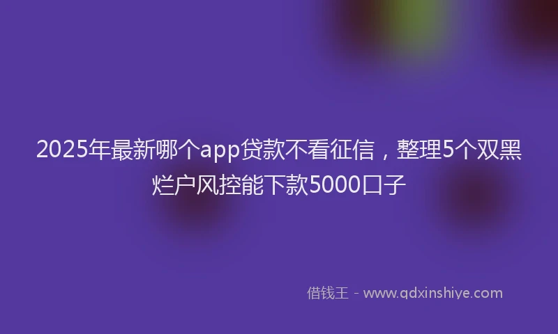 2025年最新哪个app贷款不看征信，整理5个双黑烂户风控能下款5000口子