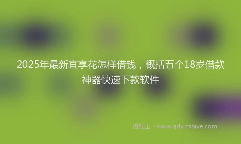 2025年最新宜享花怎样借钱，概括五个18岁借款神器快速下款软件