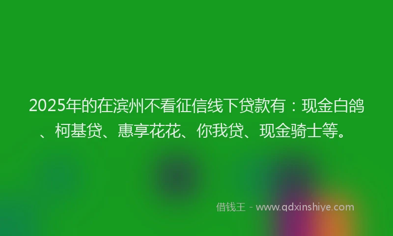 2025年的在滨州不看征信线下贷款有：现金白鸽、柯基贷、惠享花花、你我贷、现金骑士等。