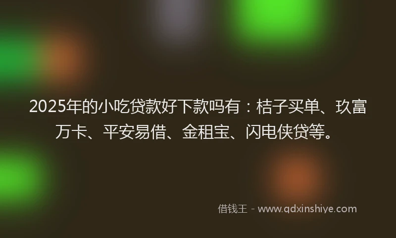 2025年的小吃贷款好下款吗有：桔子买单、玖富万卡、平安易借、金租宝、闪电侠贷等。
