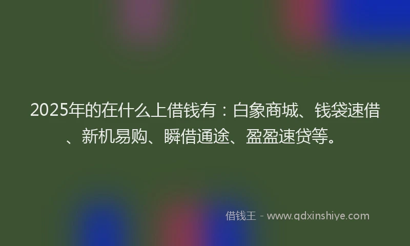 2025年的在什么上借钱有：白象商城、钱袋速借、新机易购、瞬借通途、盈盈速贷等。