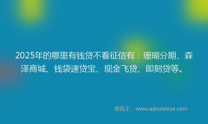 2025年的哪里有钱贷不看征信有：珊瑚分期、森泽商城、钱袋速贷宝、现金飞贷、即刻贷等。
