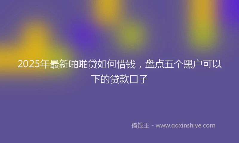 2025年最新啪啪贷如何借钱，盘点五个黑户可以下的贷款口子