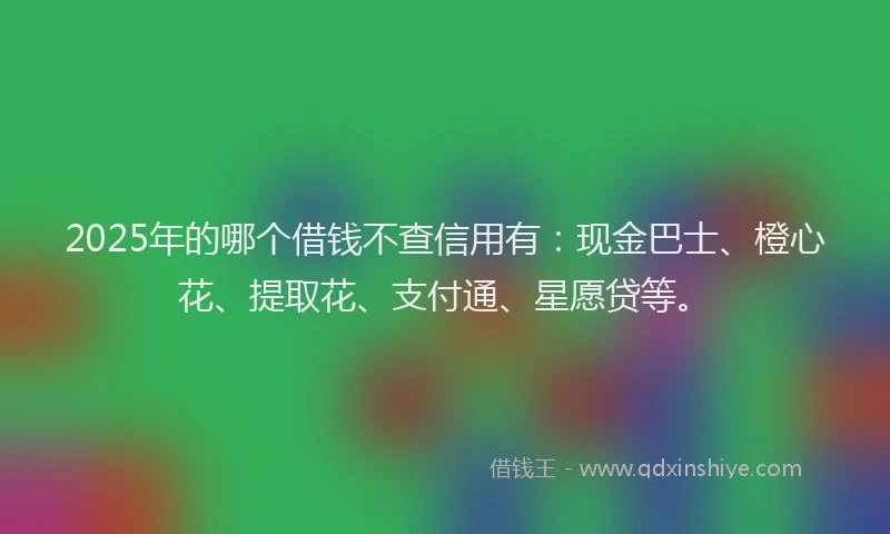 2025年的哪个借钱不查信用有：现金巴士、橙心花、提取花、支付通、星愿贷等。