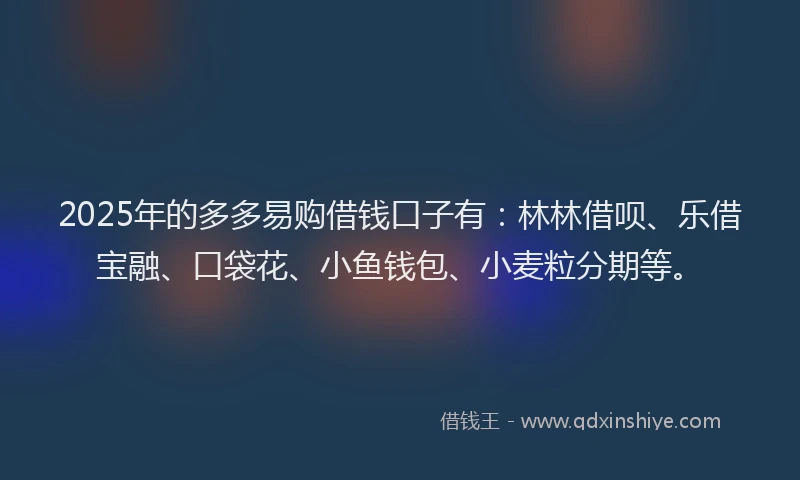 2025年的多多易购借钱口子有：林林借呗、乐借宝融、口袋花、小鱼钱包、小麦粒分期等。