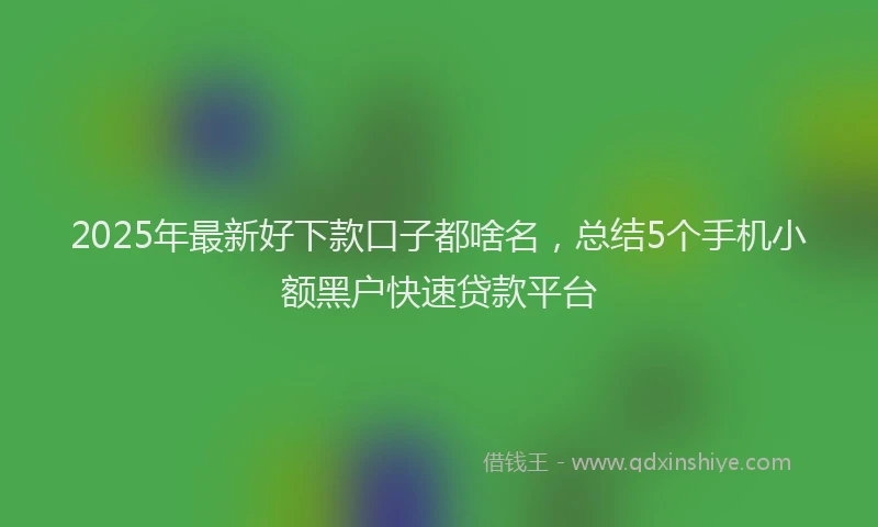 2025年最新好下款口子都啥名，总结5个手机小额黑户快速贷款平台