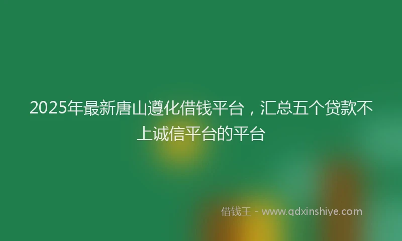 2025年最新唐山遵化借钱平台，汇总五个贷款不上诚信平台的平台