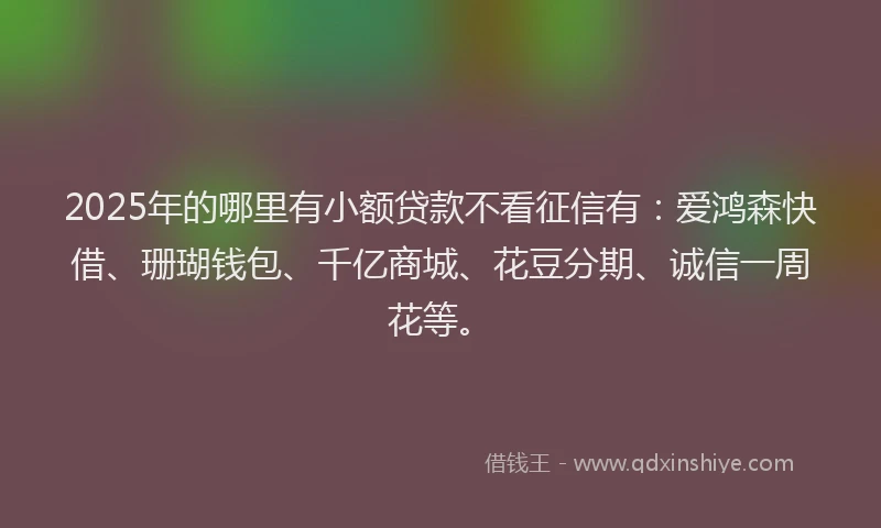2025年的哪里有小额贷款不看征信有：爱鸿森快借、珊瑚钱包、千亿商城、花豆分期、诚信一周花等。