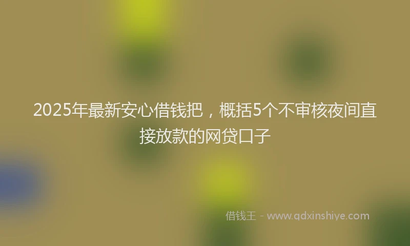 2025年最新安心借钱把，概括5个不审核夜间直接放款的网贷口子