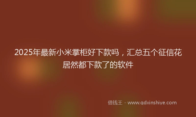 2025年最新小米掌柜好下款吗，汇总五个征信花居然都下款了的软件