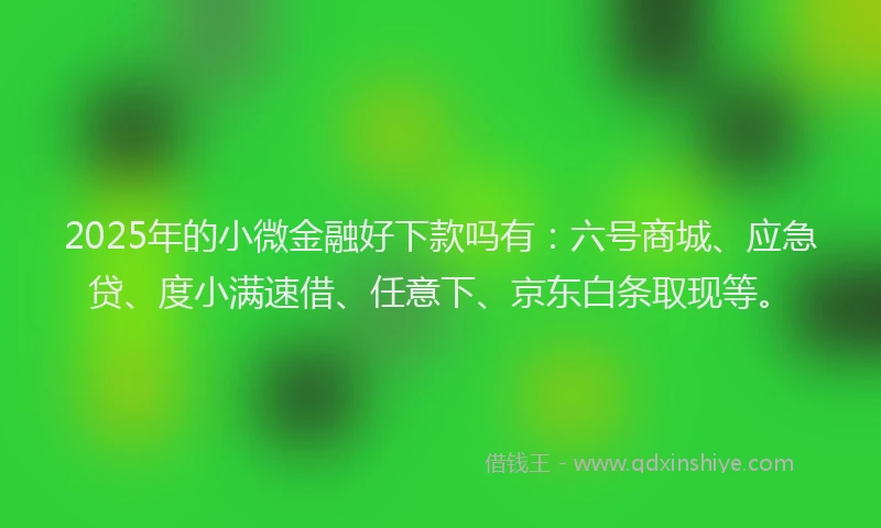 2025年的小微金融好下款吗有：六号商城、应急贷、度小满速借、任意下、京东白条取现等。