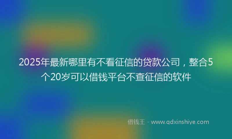 2025年最新哪里有不看征信的贷款公司，整合5个20岁可以借钱平台不查征信的软件