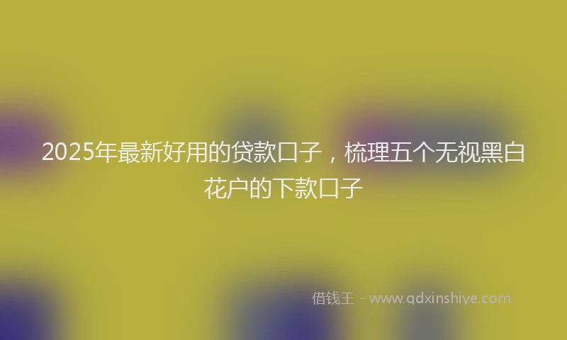 2025年最新好用的贷款口子，梳理五个无视黑白花户的下款口子