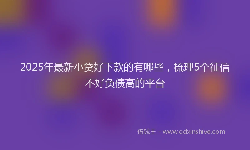 2025年最新小贷好下款的有哪些，梳理5个征信不好负债高的平台