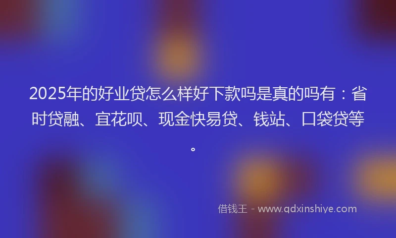 2025年的好业贷怎么样好下款吗是真的吗有：省时贷融、宜花呗、现金快易贷、钱站、口袋贷等。