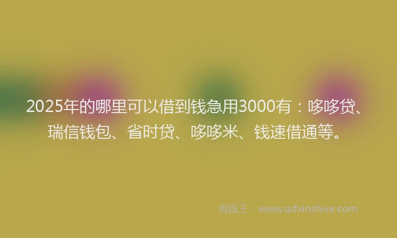 2025年的哪里可以借到钱急用3000有：哆哆贷、瑞信钱包、省时贷、哆哆米、钱速借通等。