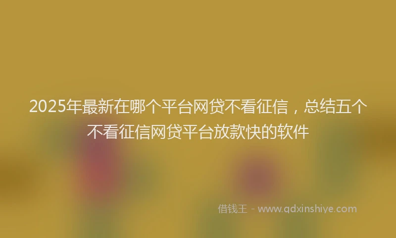 2025年最新在哪个平台网贷不看征信，总结五个不看征信网贷平台放款快的软件