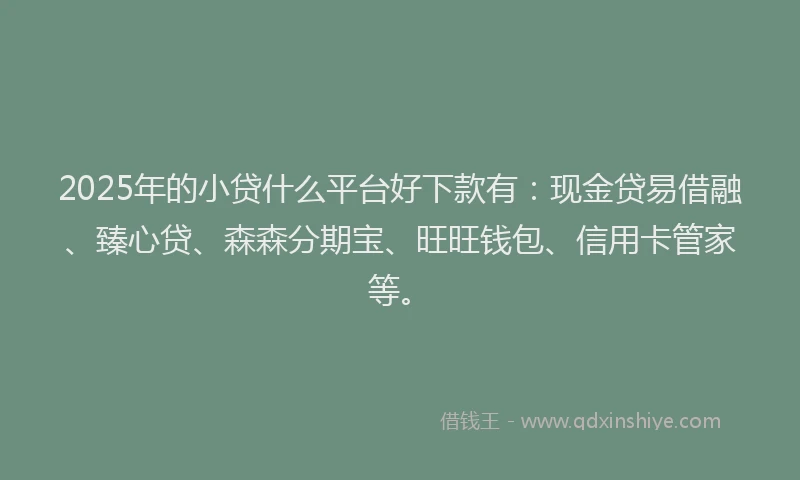 2025年的小贷什么平台好下款有：现金贷易借融、臻心贷、森森分期宝、旺旺钱包、信用卡管家等。