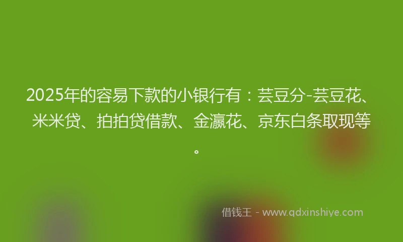 2025年的容易下款的小银行有：芸豆分-芸豆花、米米贷、拍拍贷借款、金瀛花、京东白条取现等。