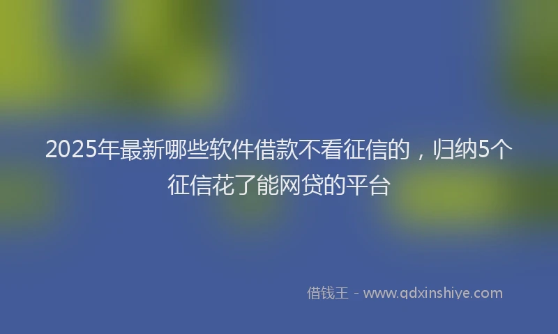 2025年最新哪些软件借款不看征信的，归纳5个征信花了能网贷的平台