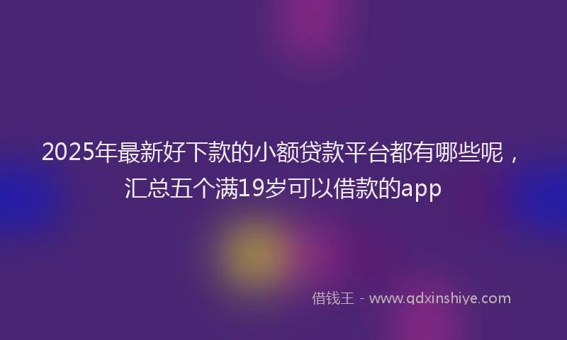 2025年最新好下款的小额贷款平台都有哪些呢，汇总五个满19岁可以借款的app