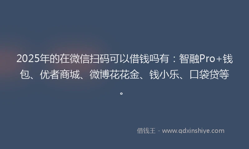 2025年的在微信扫码可以借钱吗有：智融Pro+钱包、优者商城、微博花花金、钱小乐、口袋贷等。