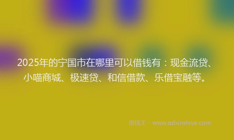 2025年的宁国市在哪里可以借钱有：现金流贷、小喵商城、极速贷、和信借款、乐借宝融等。