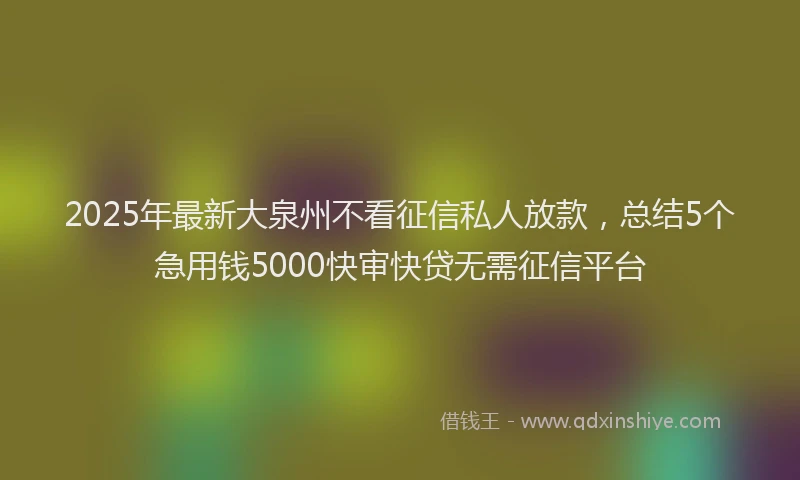 2025年最新大泉州不看征信私人放款，总结5个急用钱5000快审快贷无需征信平台