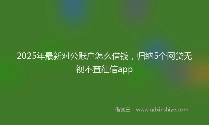 2025年最新对公账户怎么借钱，归纳5个网贷无视不查征信app