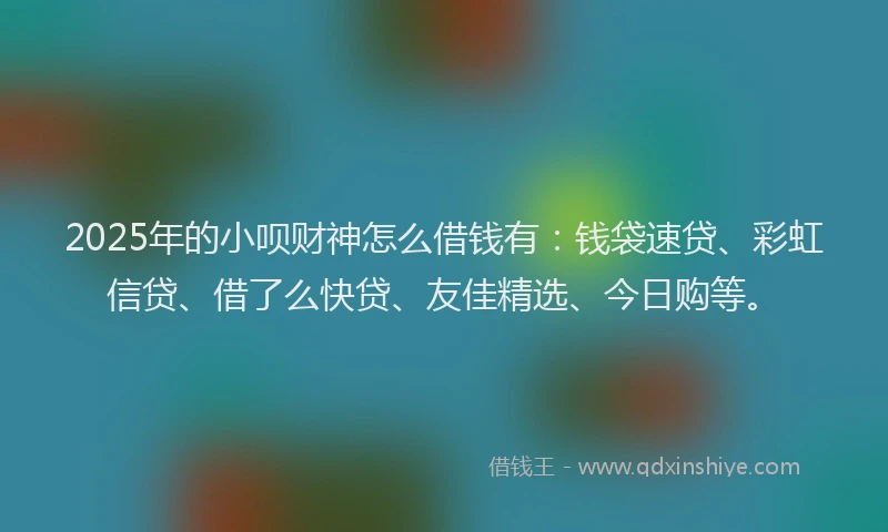 2025年的小呗财神怎么借钱有：钱袋速贷、彩虹信贷、借了么快贷、友佳精选、今日购等。