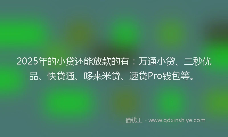 2025年的小贷还能放款的有：万通小贷、三秒优品、快贷通、哆来米贷、速贷Pro钱包等。