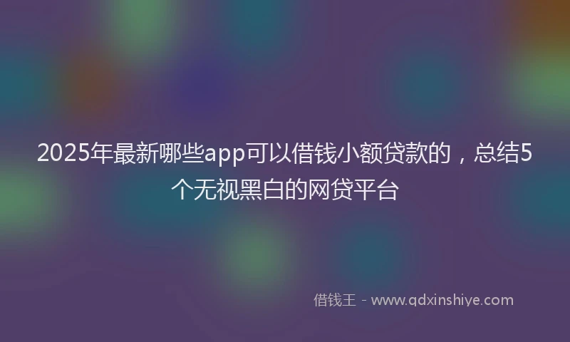 2025年最新哪些app可以借钱小额贷款的，总结5个无视黑白的网贷平台