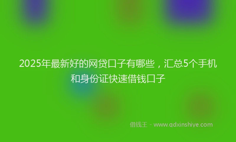 2025年最新好的网贷口子有哪些，汇总5个手机和身份证快速借钱口子