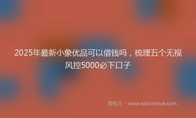 2025年最新小象优品可以借钱吗，梳理五个无视风控5000必下口子