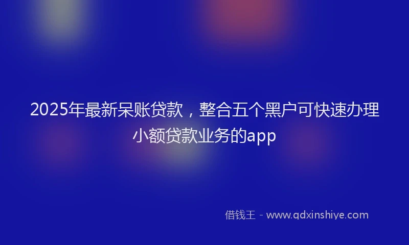 2025年最新呆账贷款，整合五个黑户可快速办理小额贷款业务的app